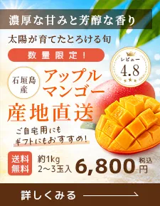 石垣島マンゴー注文フォーム リンクバナー